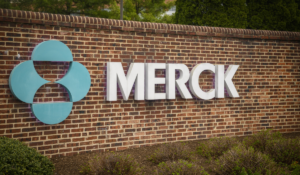 Merck recruitment drive 2024 for Associate System Engineer eligible Candidates apply Quickly