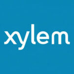 Xylem